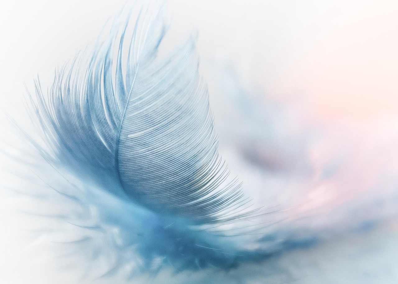 Baby Unicolor