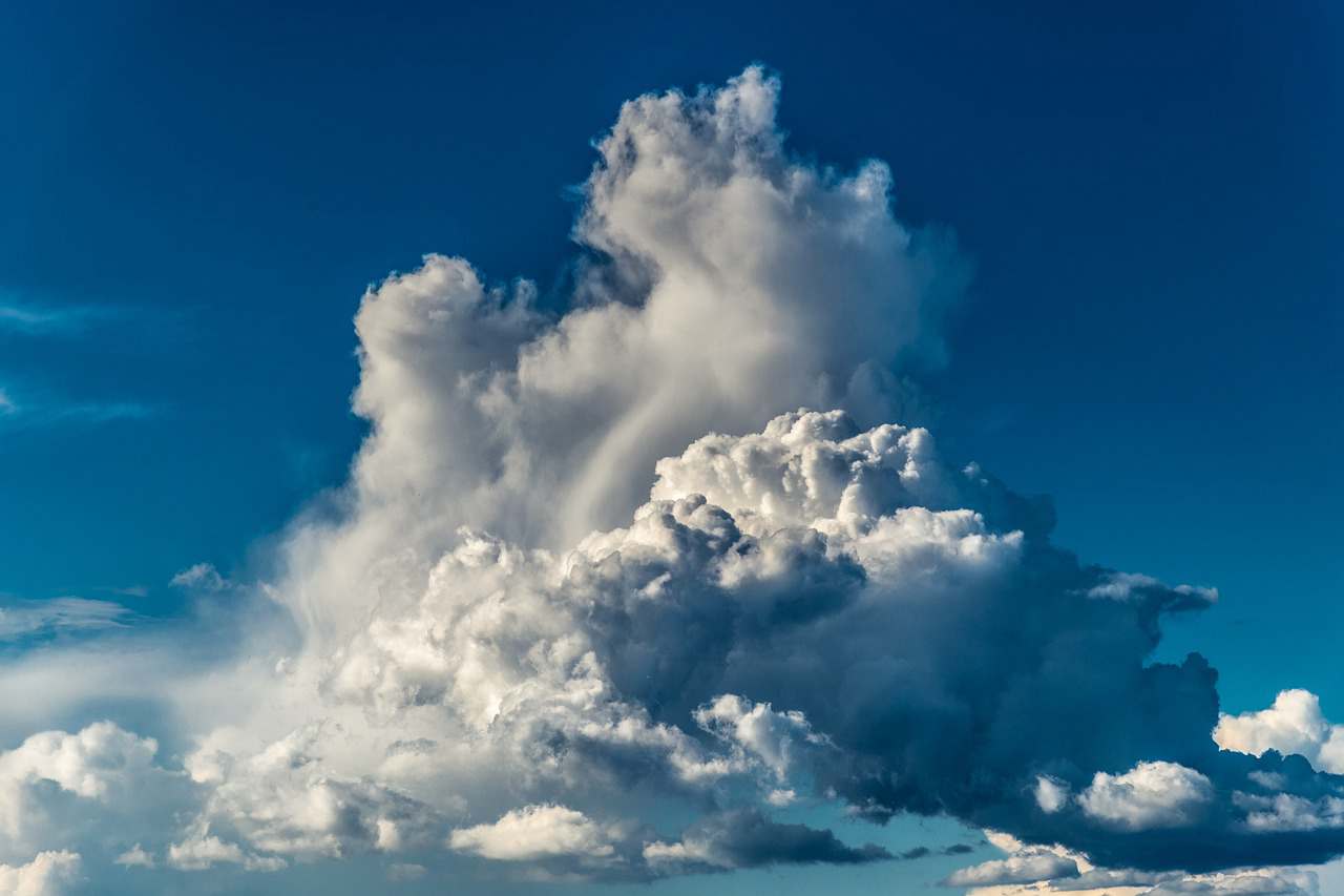 Passarinhos Mellow