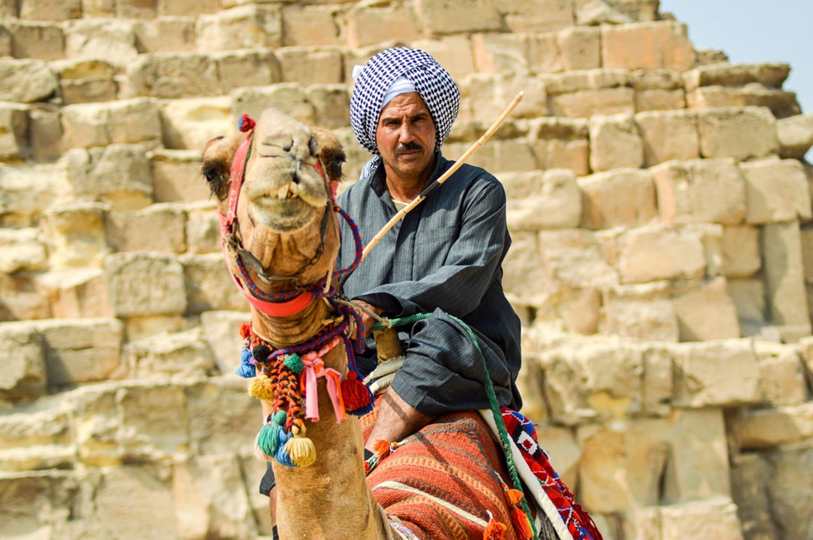 Floral Botanic
