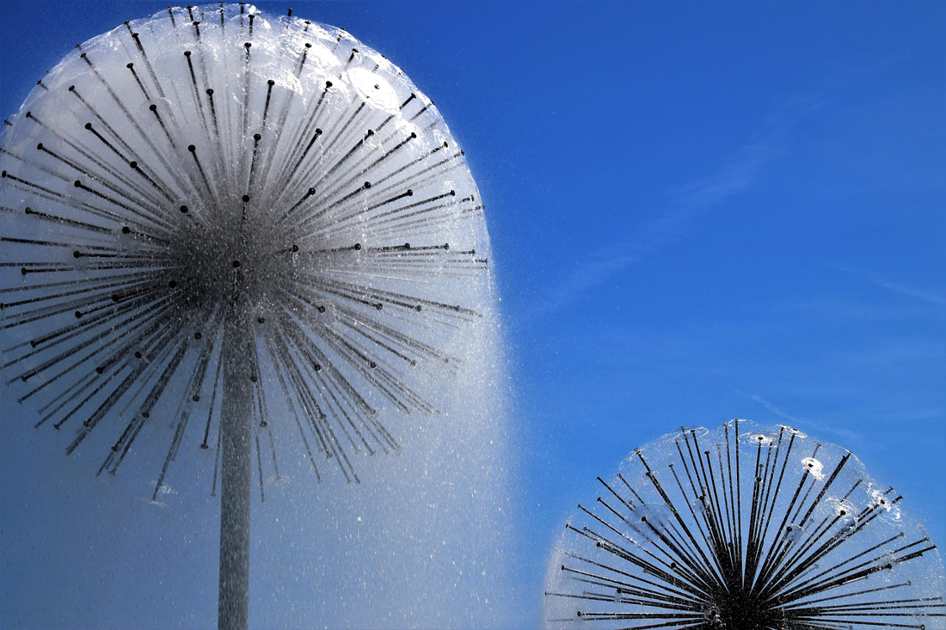 Pretty Poneis