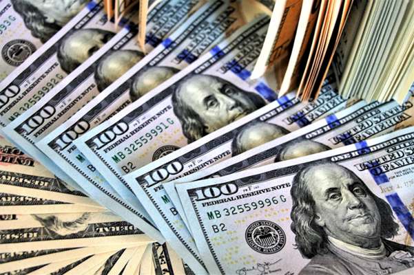 Animais Fofura 01