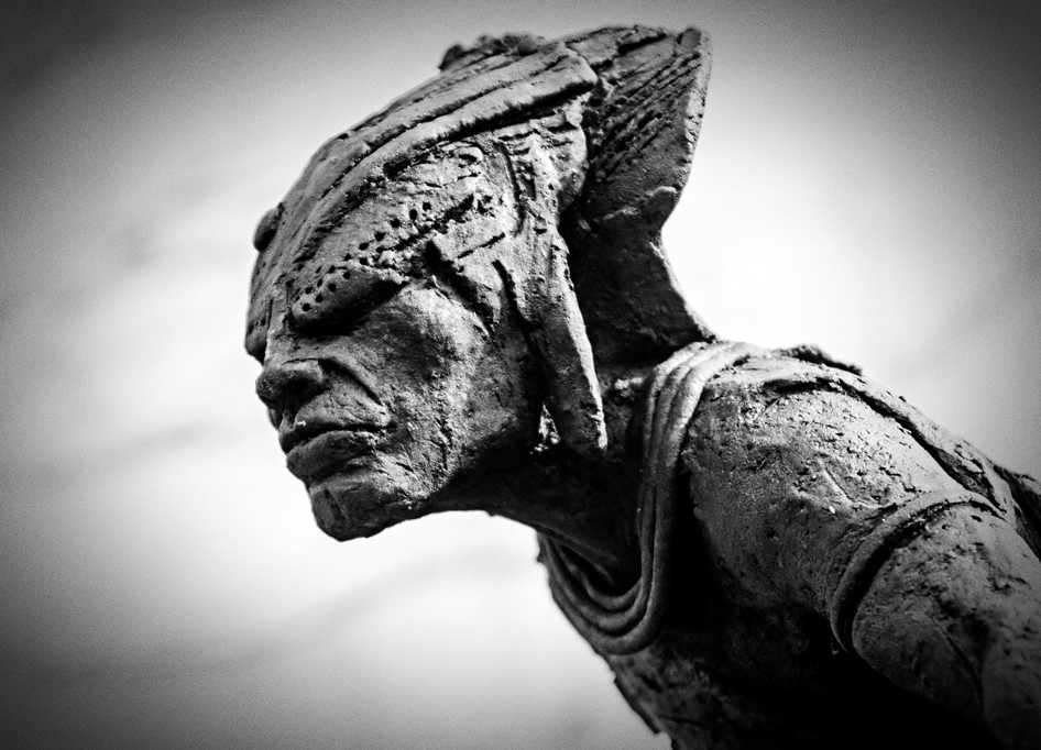 Pato Ponto Cruz 1