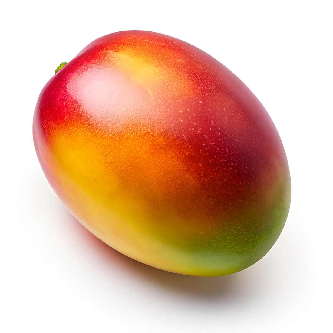 Dia Dos Pais 9